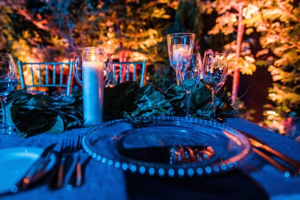 CookedPhotography-Party-in-a-moonlit-park-7